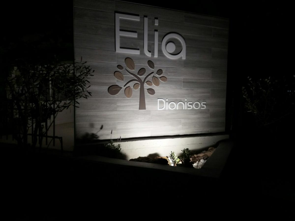 Aparthotel Dionisos Elia Paralia Dionisiou Exterior foto